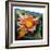 The Water Lily, C.1924 (Oil on Glass)-Joseph Stella-Framed Giclee Print