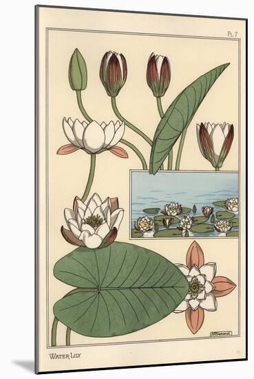 The Water Lily, Nelumbo Lutea, and Flower Parts, 1897 (Lithograph)-Eugene Grasset-Mounted Giclee Print