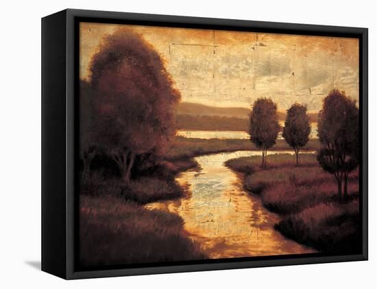 The Water^s Edge II-Gregory Williams-Framed Stretched Canvas