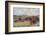 The Waterford-Lionel Edwards-Framed Premium Giclee Print