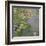 The Waterlily Pond, 1917-19-Claude Monet-Framed Giclee Print