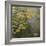 The Waterlily Pond, 1919-Claude Monet-Framed Giclee Print