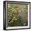 The Waterlily Pond, 1919-Claude Monet-Framed Giclee Print