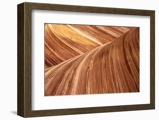 The Wave, Abstract, Zion, Utah, USA-John Ford-Framed Photographic Print