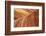 The Wave, Abstract, Zion, Utah, USA-John Ford-Framed Photographic Print