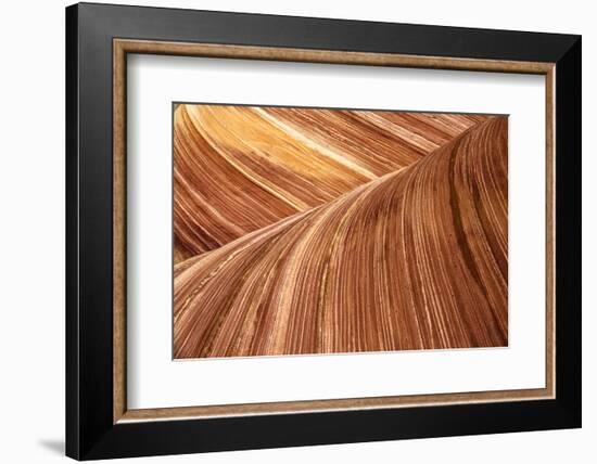 The Wave, Abstract, Zion, Utah, USA-John Ford-Framed Photographic Print