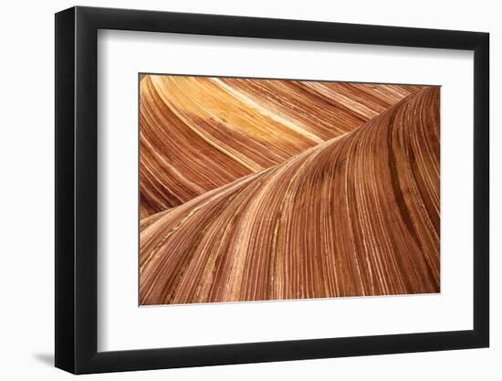 The Wave, Abstract, Zion, Utah, USA-John Ford-Framed Photographic Print