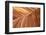 The Wave, Abstract, Zion, Utah, USA-John Ford-Framed Photographic Print