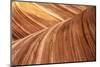 The Wave, Abstract, Zion, Utah, USA-John Ford-Mounted Photographic Print