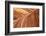 The Wave, Abstract, Zion, Utah, USA-John Ford-Framed Photographic Print