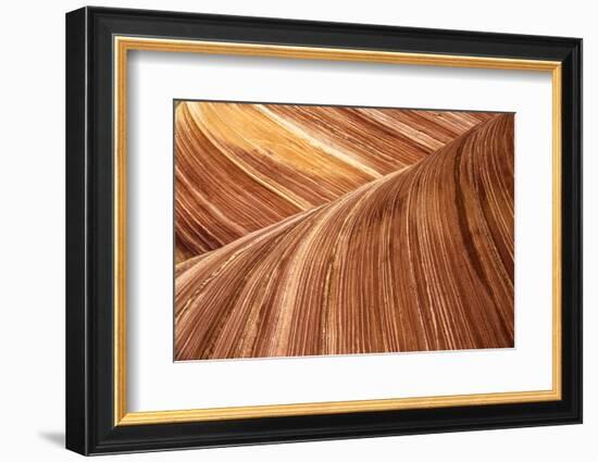 The Wave, Abstract, Zion, Utah, USA-John Ford-Framed Photographic Print