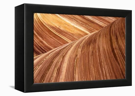 The Wave, Abstract, Zion, Utah, USA-John Ford-Framed Premier Image Canvas