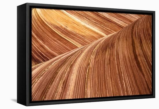 The Wave, Abstract, Zion, Utah, USA-John Ford-Framed Premier Image Canvas