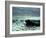The Wave, C.1869-Gustave Courbet-Framed Giclee Print