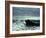 The Wave, C.1869-Gustave Courbet-Framed Giclee Print