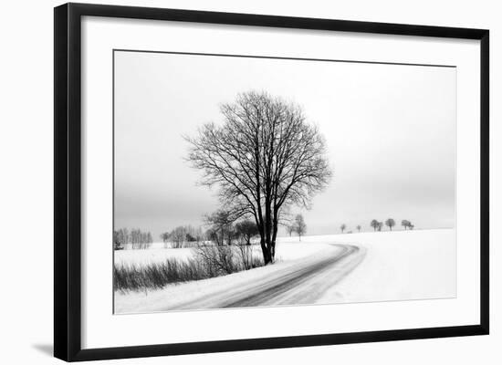 The Way Home-Ily Szilagyi-Framed Giclee Print