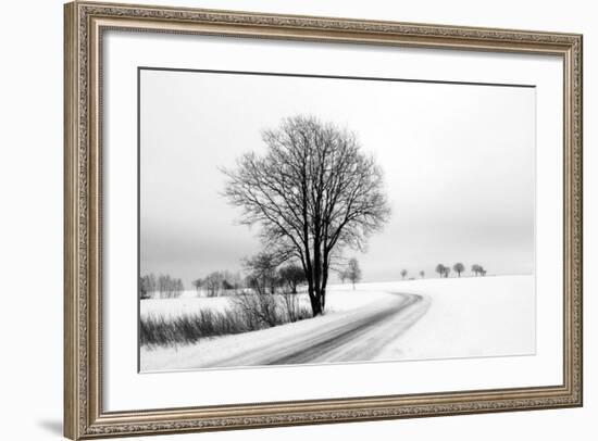 The Way Home-Ily Szilagyi-Framed Giclee Print