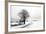 The Way Home-Ily Szilagyi-Framed Giclee Print