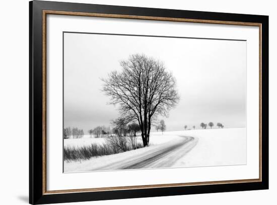 The Way Home-Ily Szilagyi-Framed Giclee Print