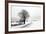 The Way Home-Ily Szilagyi-Framed Giclee Print