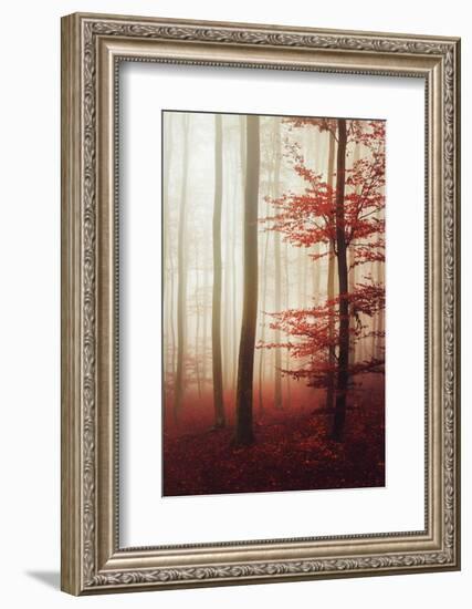 The Way Out-Philippe Sainte-Laudy-Framed Photographic Print