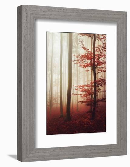 The Way Out-Philippe Sainte-Laudy-Framed Photographic Print