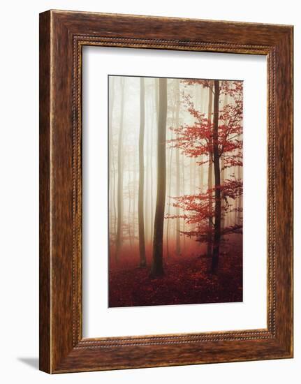 The Way Out-Philippe Sainte-Laudy-Framed Photographic Print