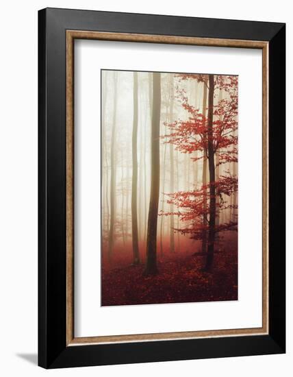 The Way Out-Philippe Sainte-Laudy-Framed Photographic Print