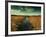 The Way through-Irene Suchocki-Framed Photographic Print