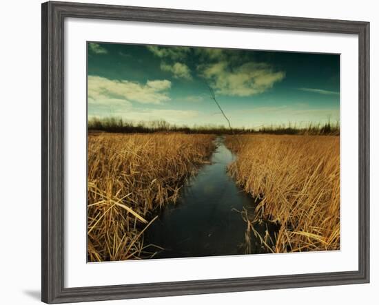 The Way through-Irene Suchocki-Framed Photographic Print