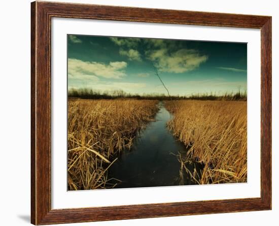 The Way through-Irene Suchocki-Framed Photographic Print