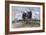 The Way to Crécy, 1857-Paul Huet-Framed Giclee Print