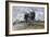 The Way to Crécy, 1857-Paul Huet-Framed Giclee Print