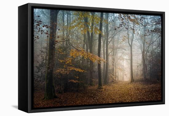 The Way to Nowhere-Philippe Manguin-Framed Premier Image Canvas