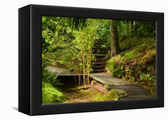 The Way to the Meditation Hall (Dojo) in the Garden of Zen Temple Ryumonji-null-Framed Premier Image Canvas