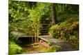 Premium Photographic Print