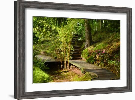 The Way to the Meditation Hall (Dojo) in the Garden of Zen Temple Ryumonji-null-Framed Photographic Print