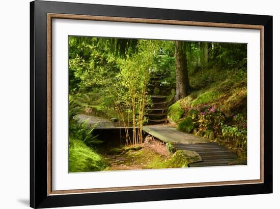 The Way to the Meditation Hall (Dojo) in the Garden of Zen Temple Ryumonji-null-Framed Photographic Print