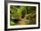 The Way to the Meditation Hall (Dojo) in the Garden of Zen Temple Ryumonji-null-Framed Photographic Print