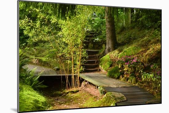 The Way to the Meditation Hall (Dojo) in the Garden of Zen Temple Ryumonji-null-Mounted Photographic Print