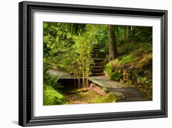 The Way to the Meditation Hall (Dojo) in the Garden of Zen Temple Ryumonji-null-Framed Photographic Print