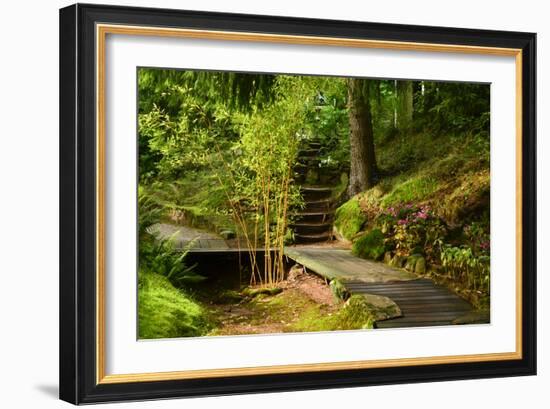 The Way to the Meditation Hall (Dojo) in the Garden of Zen Temple Ryumonji-null-Framed Photographic Print