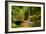 The Way to the Meditation Hall (Dojo) in the Garden of Zen Temple Ryumonji-null-Framed Photographic Print