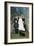 The Wedding Party-Henri Rousseau-Framed Giclee Print