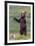 The Welcome Committee (Brown Bear Cub)-Art Wolfe-Framed Giclee Print