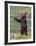 The Welcome Committee (Brown Bear Cub)-Art Wolfe-Framed Giclee Print