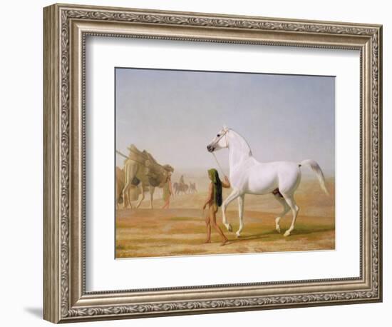 The Wellesley Grey Arabian Led Through the Desert, c.1810-Jacques-Laurent Agasse-Framed Premium Giclee Print