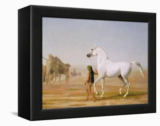 The Wellesley Grey Arabian Led Through the Desert, c.1810-Jacques-Laurent Agasse-Framed Premier Image Canvas