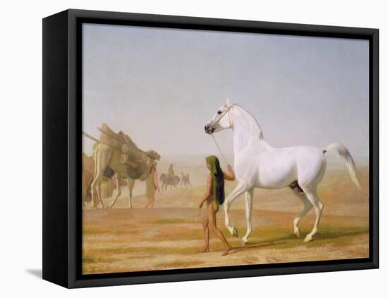 The Wellesley Grey Arabian Led Through the Desert, c.1810-Jacques-Laurent Agasse-Framed Premier Image Canvas