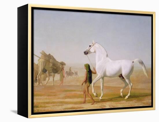 The Wellesley Grey Arabian Led Through the Desert, c.1810-Jacques-Laurent Agasse-Framed Premier Image Canvas